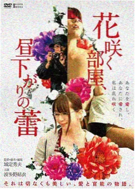 山海旧梦影片封面